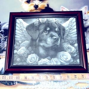 Picture frame 12 x 10